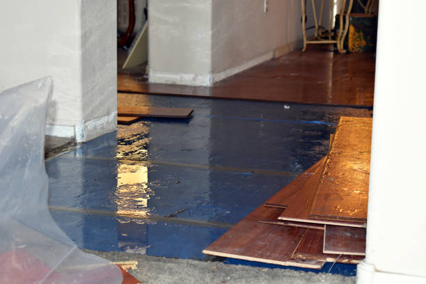 Professional Sewage Cleanup technician working in Trenton, TX